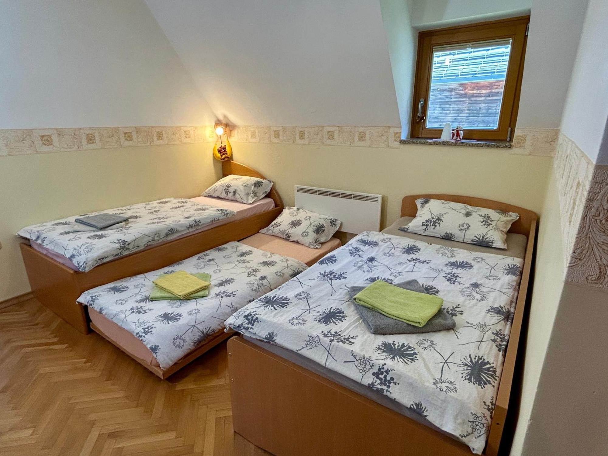 קרנייסקה גורה Apartment Crystal Rose מראה חיצוני תמונה